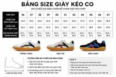 Giày Kéo Co - Giày Đẩy Gậy Nội Địa Trung Chính Hãng Mùa Trắng Vàng (Size 36-44)