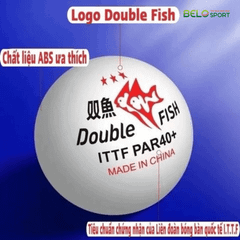 Hộp Bóng Bàn Double Fish Paris 6 Quả