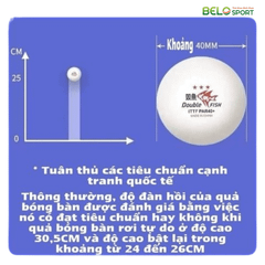 Hộp Bóng Bàn Double Fish Paris 6 Quả
