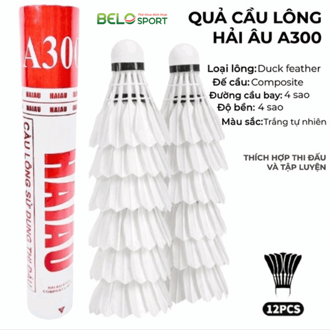 Hộp Cầu Lông Hải Âu A300 Hộp 12 Quả