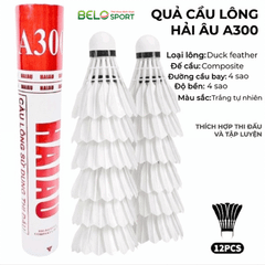 Hộp Cầu Lông Hải Âu A300 Hộp 12 Quả
