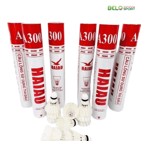Hộp Cầu Lông Hải Âu A300 Hộp 12 Quả
