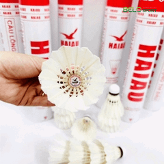 Hộp Cầu Lông Hải Âu A300 Hộp 12 Quả