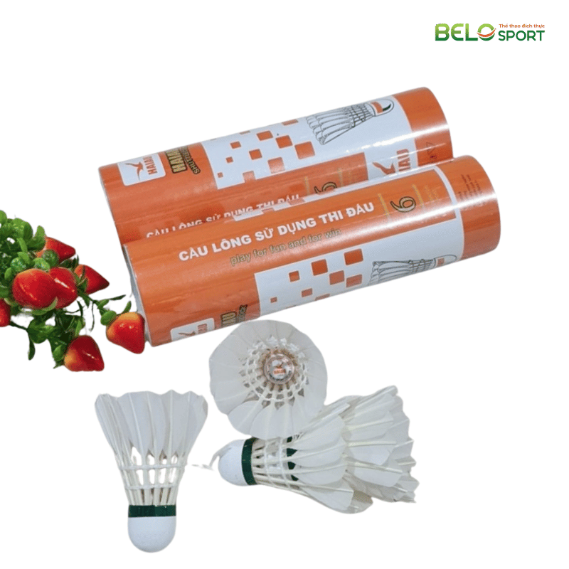 Hộp Cầu Lông Hải Âu Cam Caro Hộp 6 Quả