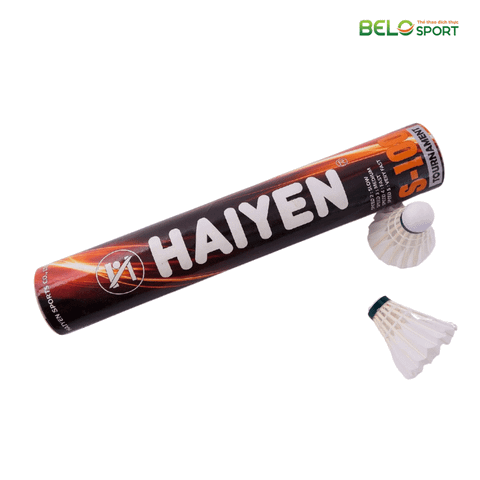 Hộp Cầu Lông Hải Yến S100 12 Quả