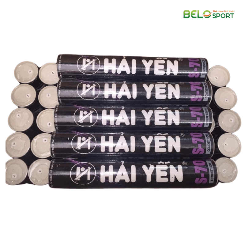 Hộp Cầu Lông Hải Yến S70 12 Quả