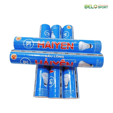 Hộp Cầu Lông Hải Yến Xanh Dương 12 Quả