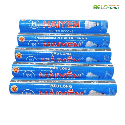 Hộp Cầu Lông Hải Yến Xanh Dương 12 Quả