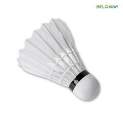 Hộp Cầu Lông Thi Đấu Sao Việt S400