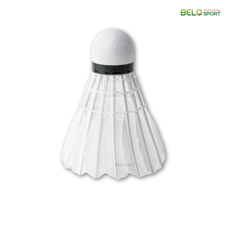 Hộp Cầu Lông Thi Đấu Sao Việt S400