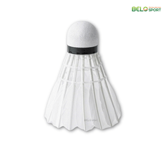 Hộp Cầu Lông Thi Đấu Sao Việt S400