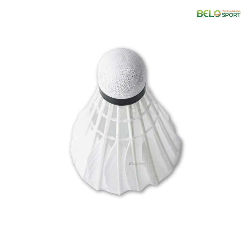 Hộp Cầu Lông Thi Đấu Sao Việt S400