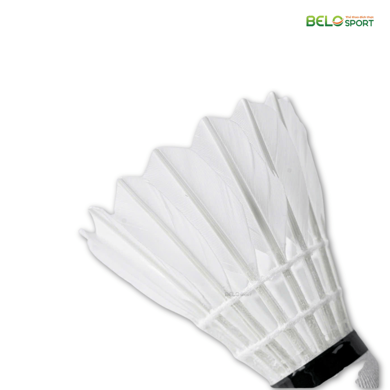 Hộp Cầu Lông Thi Đấu Sao Việt S400