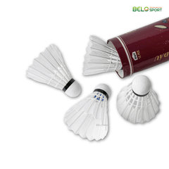 Hộp Cầu Lông Thi Đấu Sao Việt S400