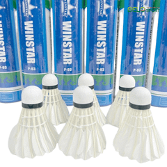 Hộp Cầu Lông Winstar P03 Hộp 6 Quả