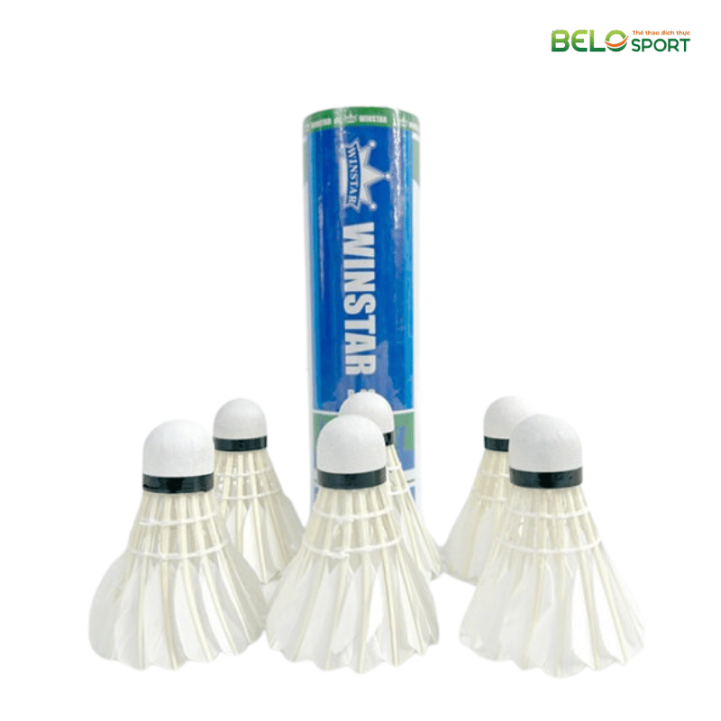 Hộp Cầu Lông Winstar P03 Hộp 6 Quả