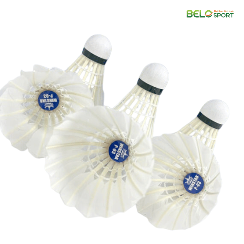 Hộp Cầu Lông Winstar P03 Hộp 6 Quả