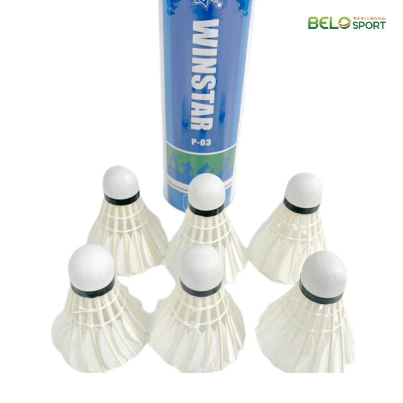 Hộp Cầu Lông Winstar P03 Hộp 6 Quả
