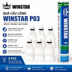 Hộp Cầu Lông Winstar P03 Hộp 6 Quả
