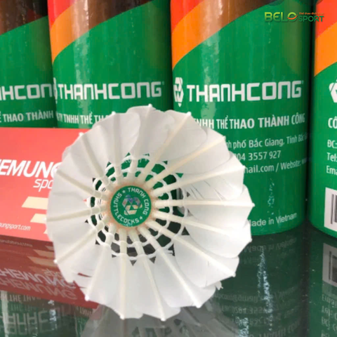 Hộp Cầu Thành Công 76