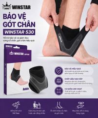 Bó Gót Winstar W530 Chính Hãng