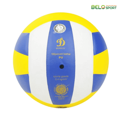 Quả Bóng Chuyền Da Động Lực DE 240M3