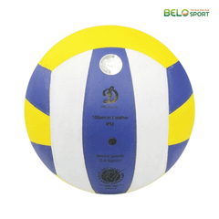 Quả Bóng Chuyền Động Lực DL 220C Chính Hãng