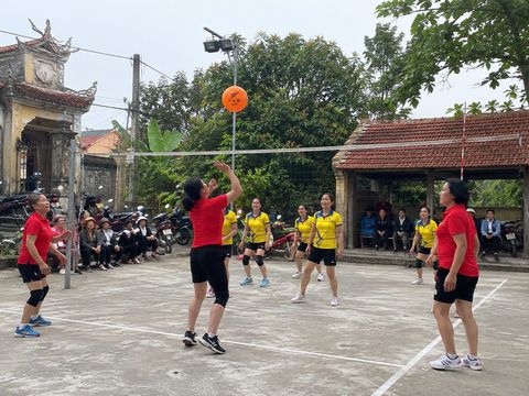 Quả Bóng Chuyền FVB 200G Chính Hãng | Đạt Chuẩn Thi Đấu, Bền Đẹp