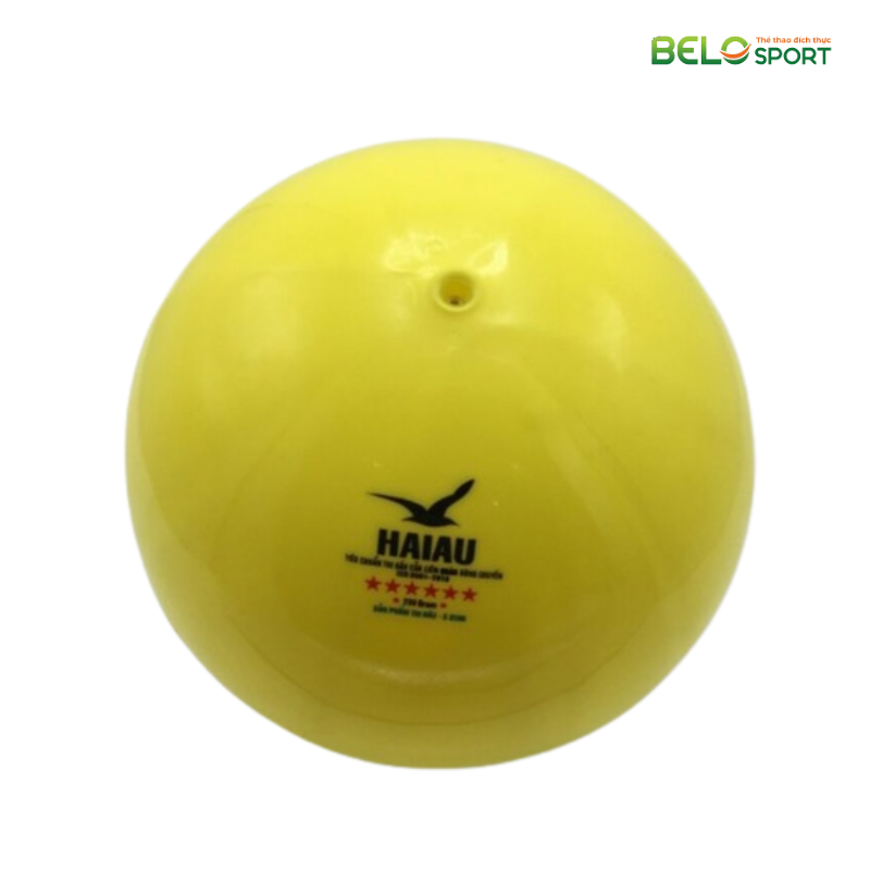 Quả Bóng Chuyền Hơi Hải Âu Arena Ball Màu Cam