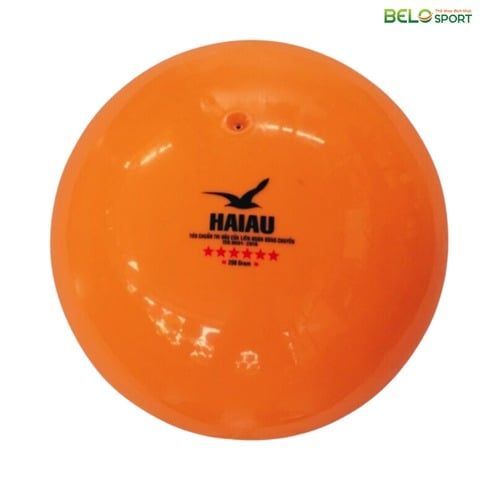 Quả Bóng Chuyền Hơi Hải Âu Arena Ball Màu Vàng