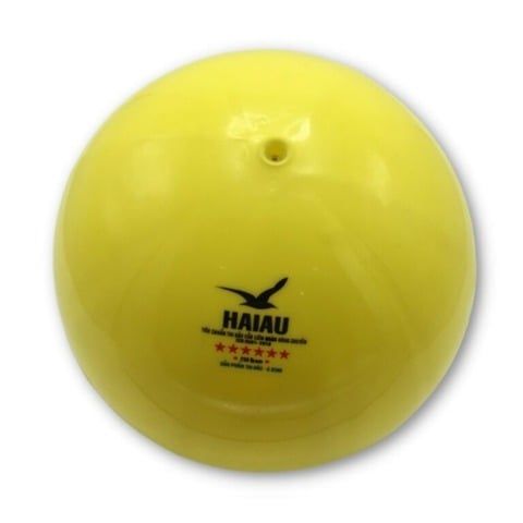 Quả Bóng Chuyền Hơi Hải Âu Arena Ball Màu Xanh
