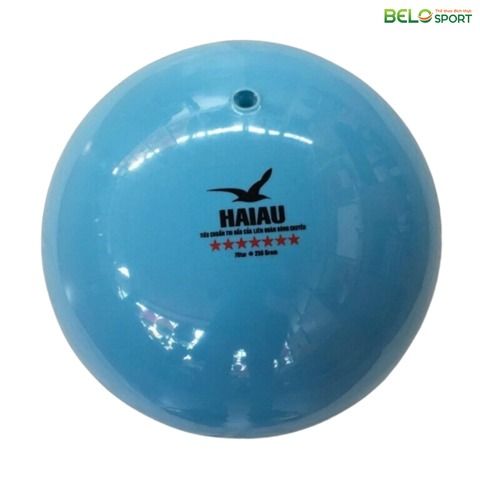 Quả Bóng Chuyền Hơi Hải Âu Galaxy