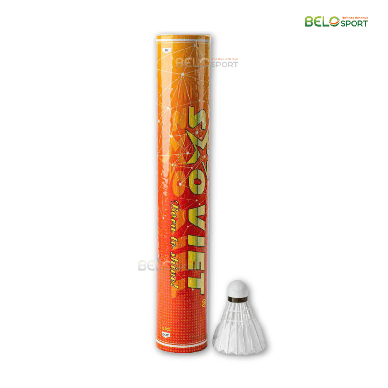 Hộp Cầu Lông Thi Đấu Sao Việt S350