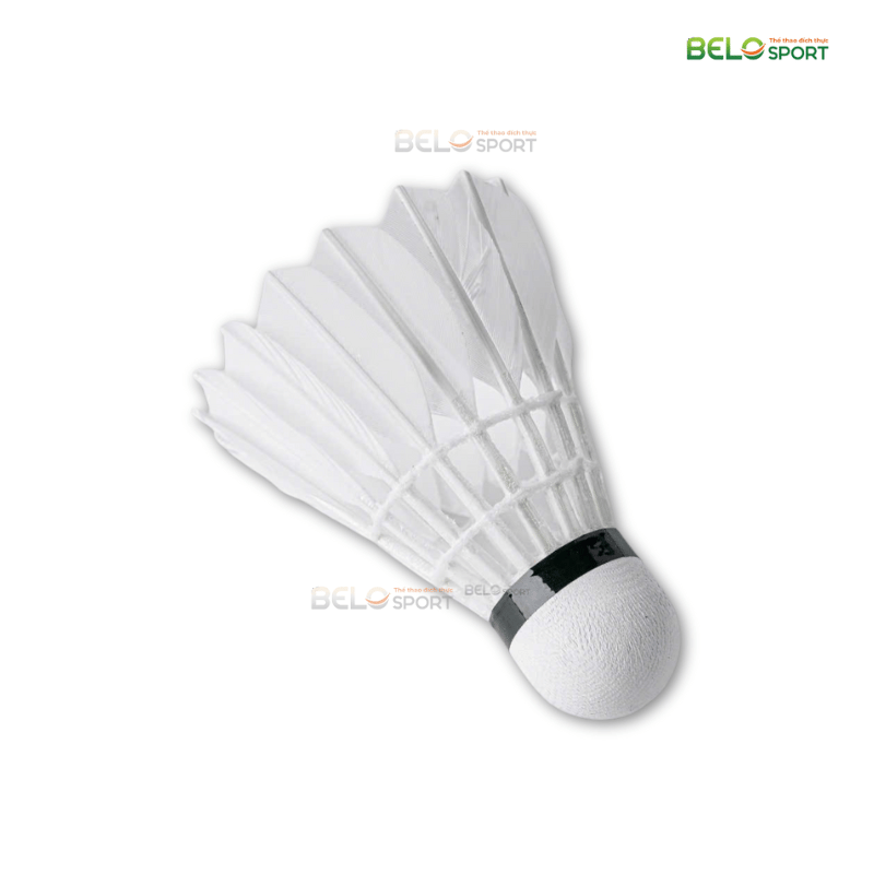 Hộp Cầu Lông Thi Đấu Sao Việt S350