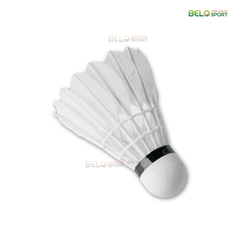 Hộp Cầu Lông Thi Đấu Sao Việt S350