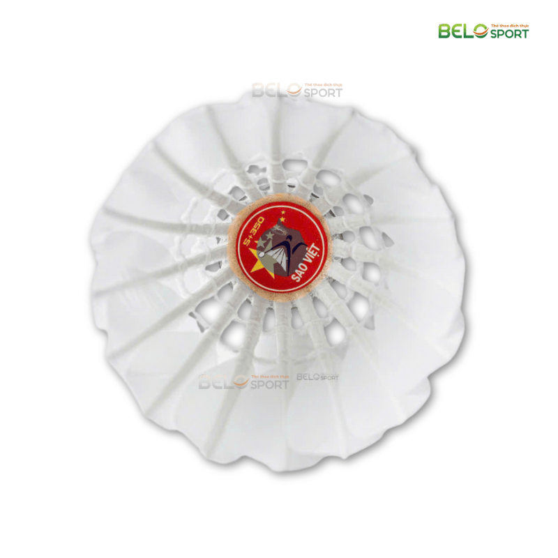 Hộp Cầu Lông Thi Đấu Sao Việt S350