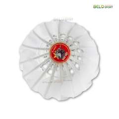 Hộp Cầu Lông Thi Đấu Sao Việt S350