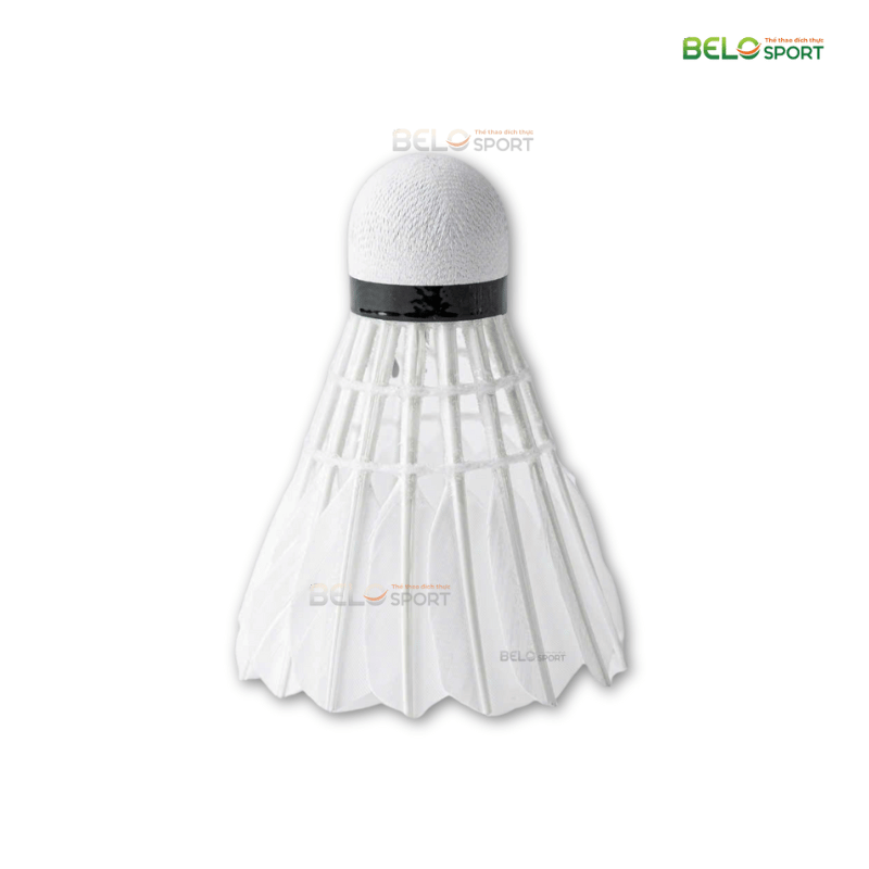 Hộp Cầu Lông Thi Đấu Sao Việt S350