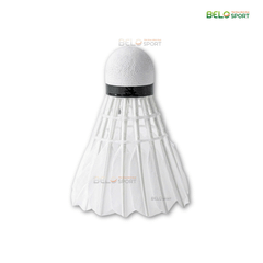 Hộp Cầu Lông Thi Đấu Sao Việt S350