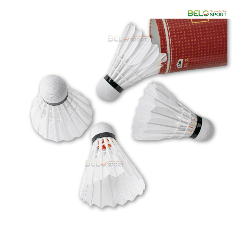 Hộp Cầu Lông Thi Đấu Sao Việt S350