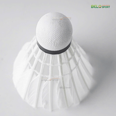 Hộp Cầu Lông Thi Đấu Sao Việt S350