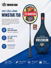 Vợt Cầu Lông Winstar Pro 750 Chính Hãng