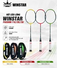Vợt Cầu Lông Winstar Passion P730 Chính Hãng