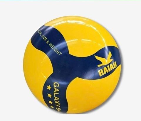 Quả Bóng Chuyền Hơi Hải Âu Arena Ball Màu Xanh