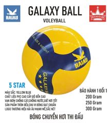 Quả Bóng Chuyền Hơi Hải Âu Arena Ball Màu Xanh