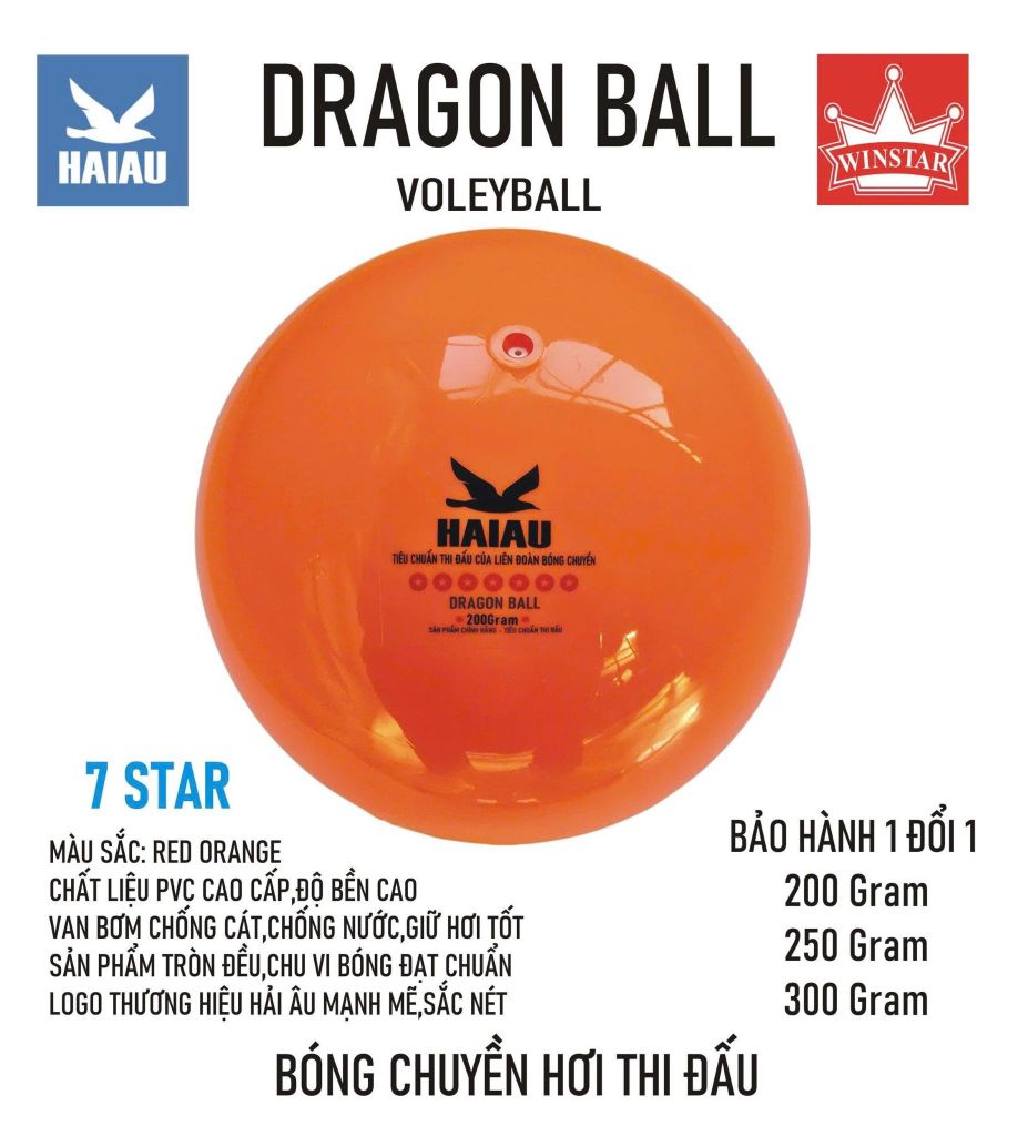 Quả Bóng Chuyền Hơi Hải Âu Arena Ball Màu Cam