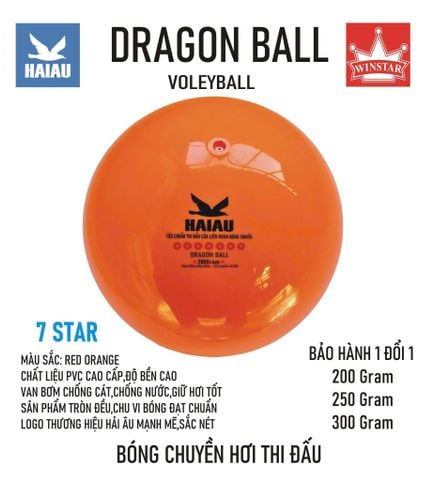 Quả Bóng Chuyền Hơi Hải Âu Arena Ball Màu Cam