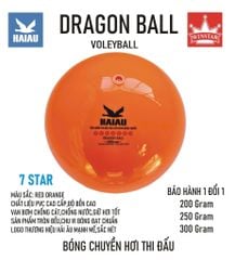 Quả Bóng Chuyền Hơi Hải Âu Arena Ball Màu Cam