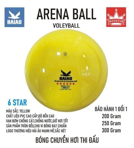 Quả Bóng Chuyền Hơi Hải Âu Arena Ball Màu Cam