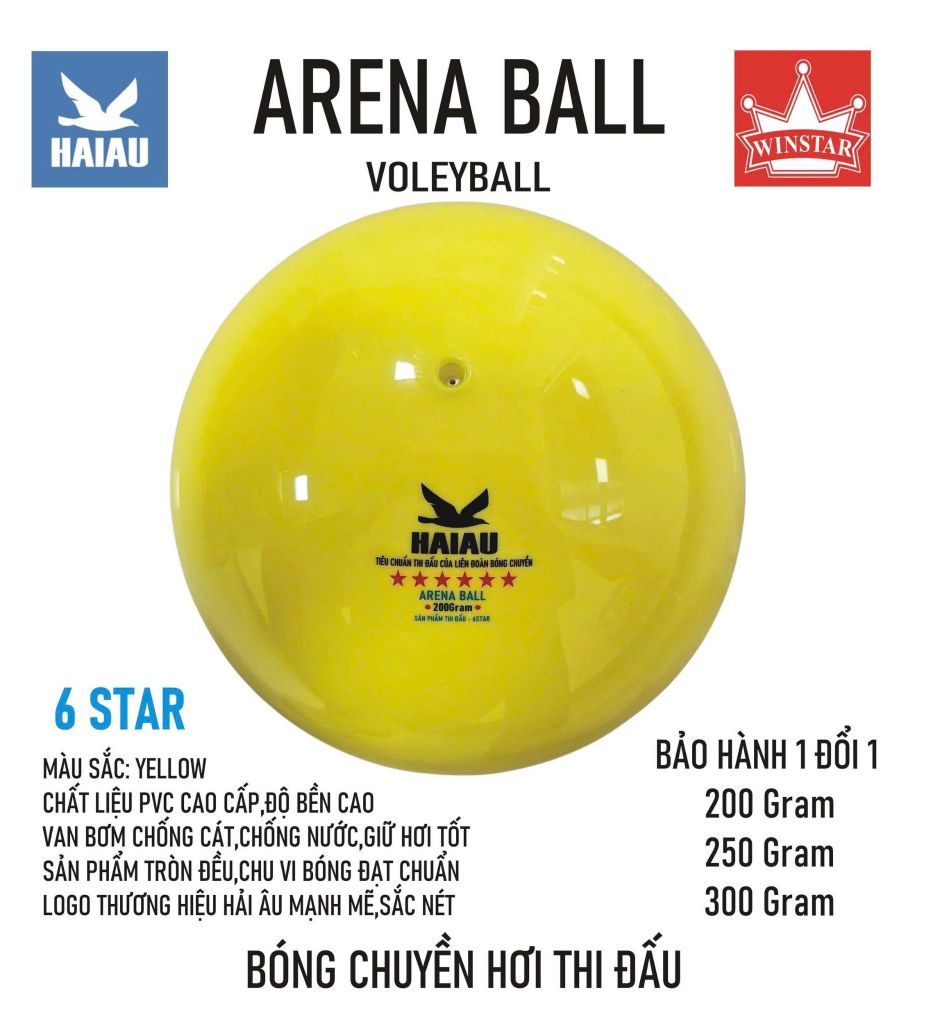 Quả Bóng Chuyền Hơi Hải Âu Arena Ball Màu Xanh